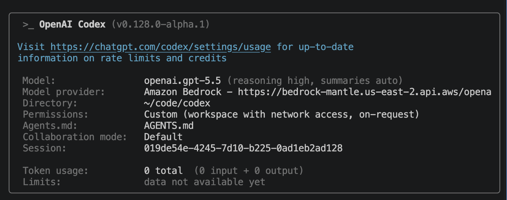Codex CLI status