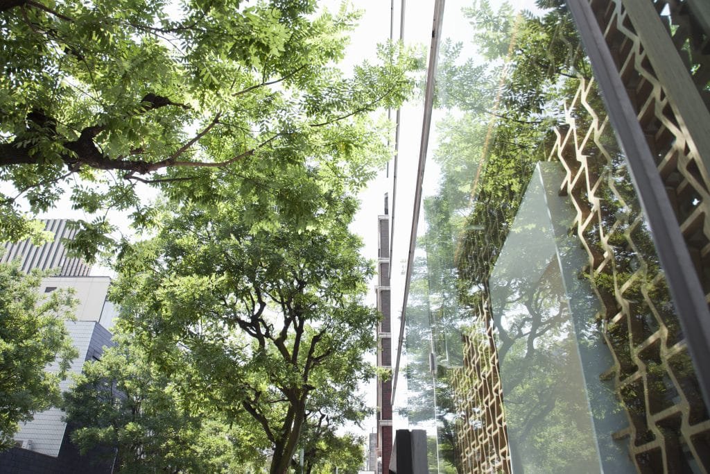 IA e Sustentabilidade: Como escalar infraestrutura sem comprometer as metas ESG