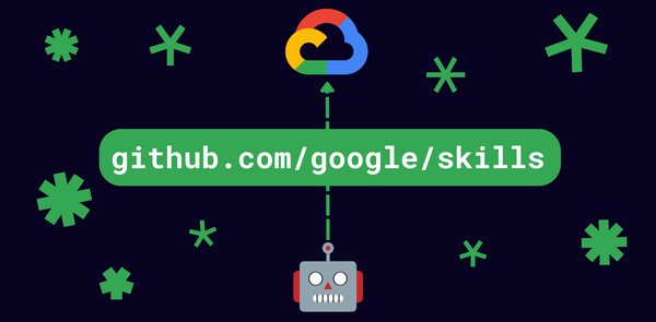 Otimizando Agentes de IA: Uma Análise sobre o Repositório de Skills do Google Cloud